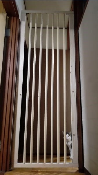 猫の脱走防止に木製の扉を自作してみた Diy Zoomroad